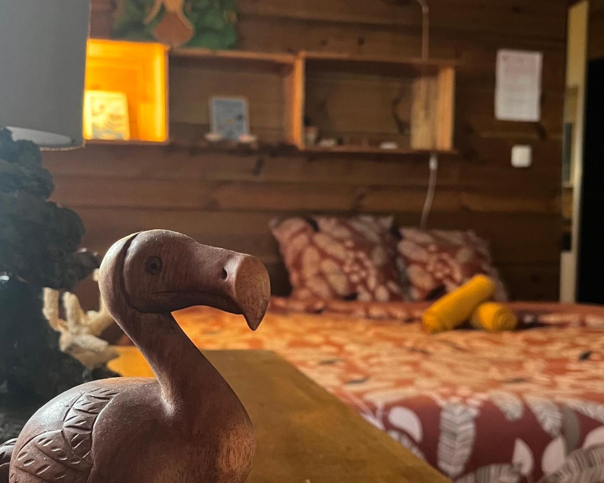 Dodo House Auberge De Jeunesse Saint-Leu Esterno foto